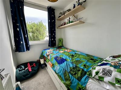 Picture 7